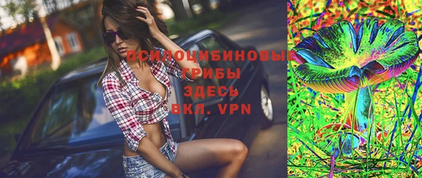бутират Лагань