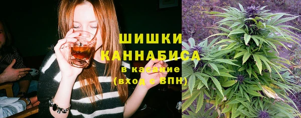 бутират Лагань