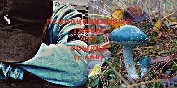 мет Ладушкин
