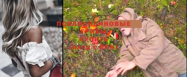 мет Ладушкин