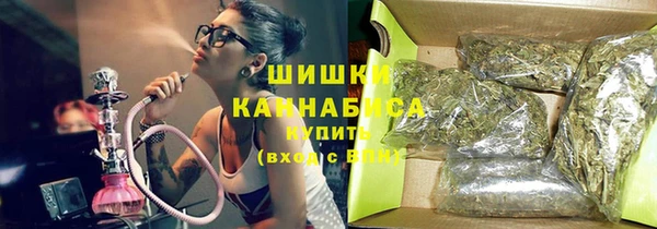 мет Ладушкин