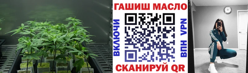 Дистиллят ТГК вейп  цена   Рубцовск 